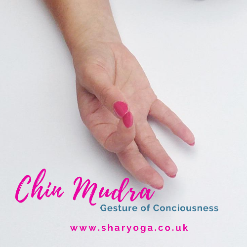 Chin Mudra Chin mudra is a widely used yoga mudra. Typically used during meditation. Bringing about a sense of peace!